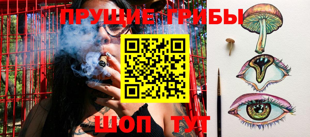 Псилоцибиновые грибы мухоморы  Вход с VPN  Галлюциногенные грибы мухоморы  Назрань 