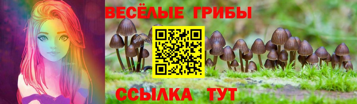 Псилоцибиновые грибы GOLDEN TEACHER Назрань
